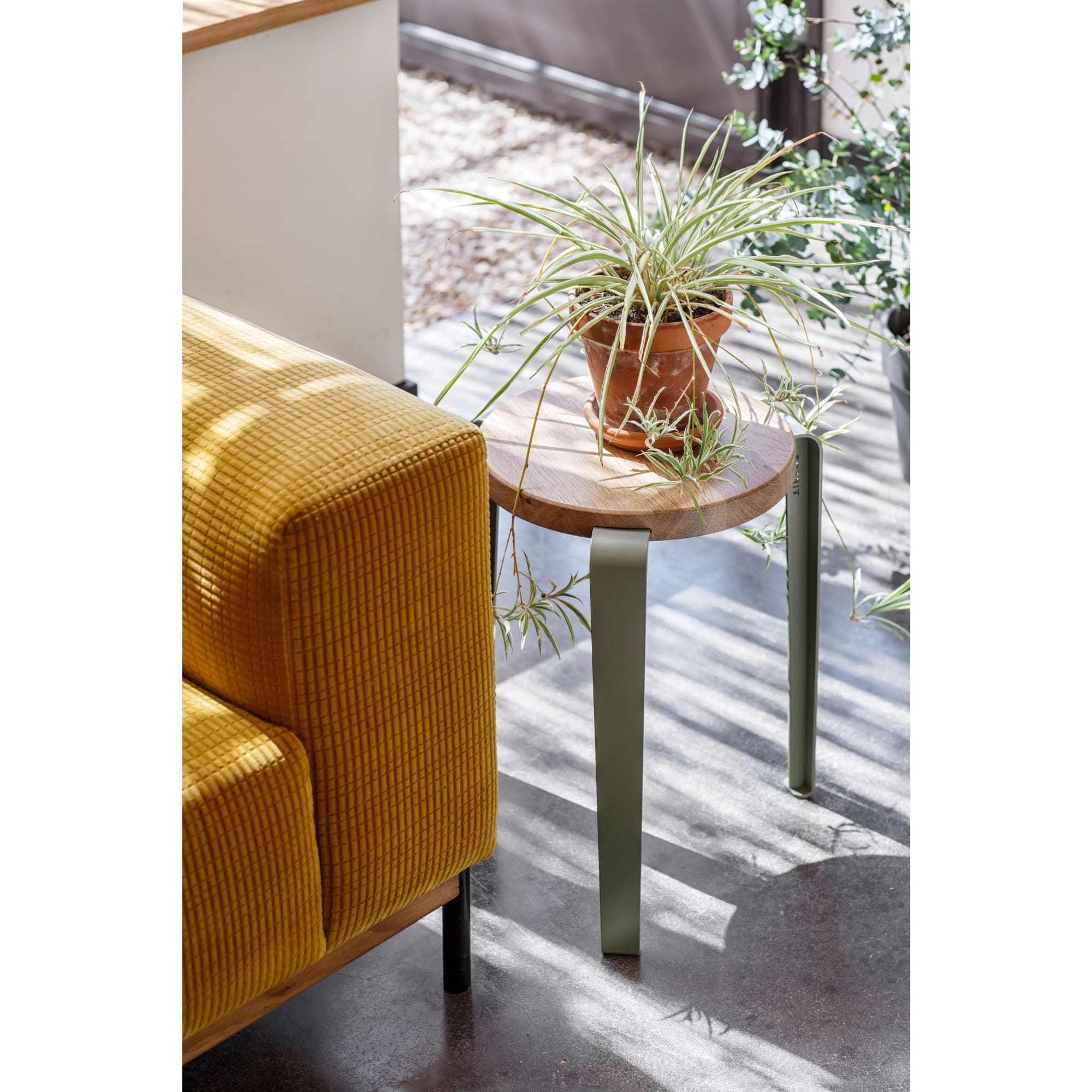 Tabouret Lou en chêne massif et acier vert utilisé en bout de canapé, avec plante en pot et lumière naturelle au sol.