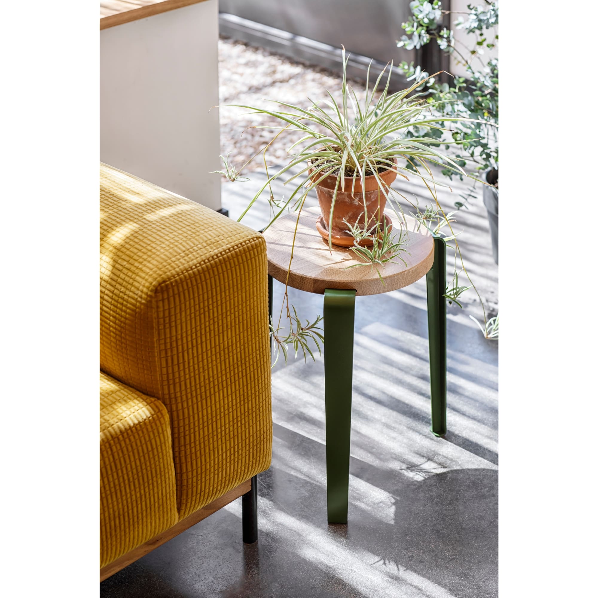 Tabouret Lou en chêne massif et acier vert utilisé en bout de canapé, avec plante en pot et lumière naturelle au sol.