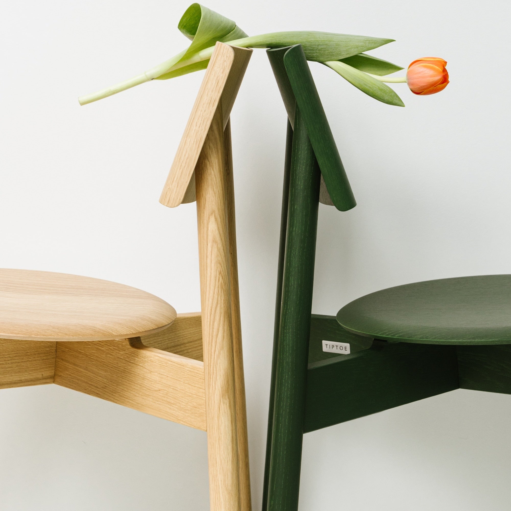 Gros plan de deux chaises SSD Full Wood de Tiptoe en chêne naturel et chêne teinté vert, mises en scène côte à côte avec une tulipe posée sur leurs dossiers.